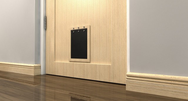 Cat Flap Installation Dartford, Crayford, DA1