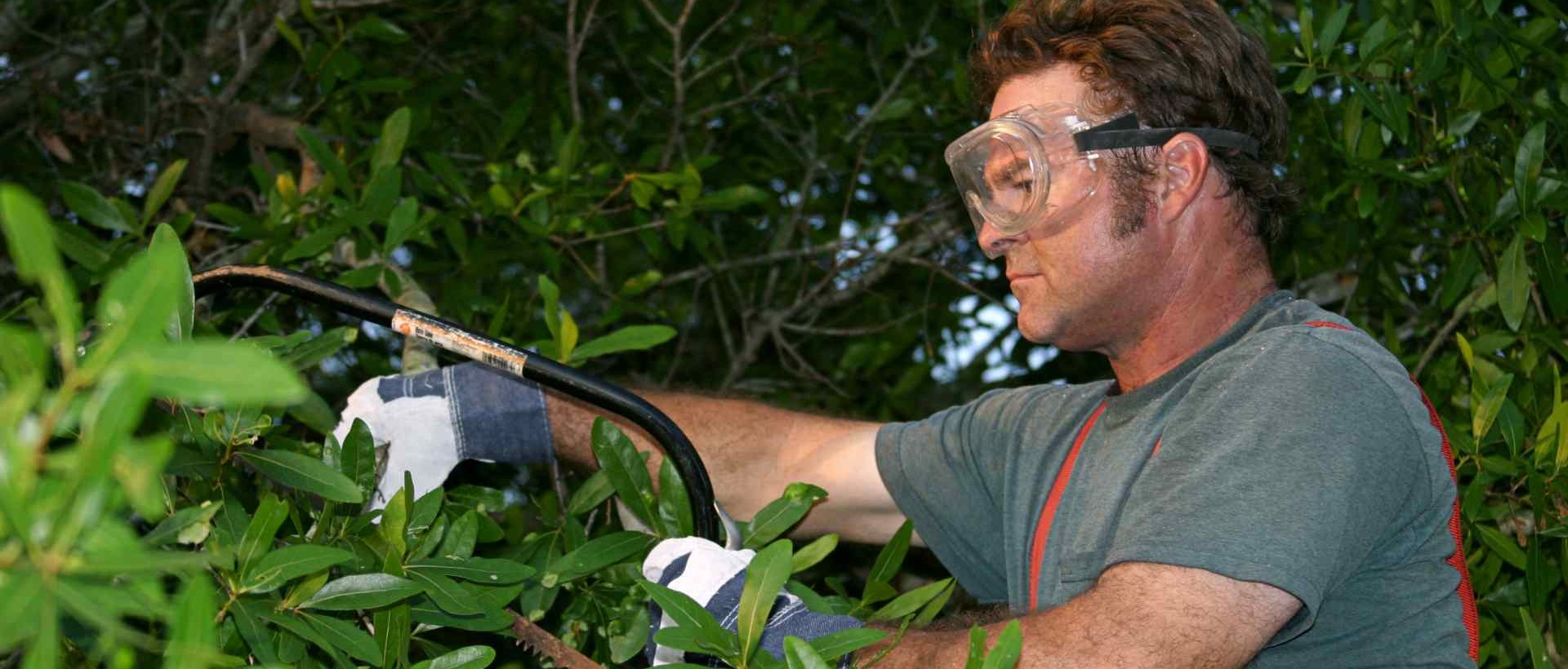 garden clearance DA1